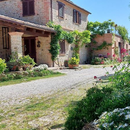 Casale San Martino Agriturismo Bio Sant'Angelo in Pontano 외부 사진