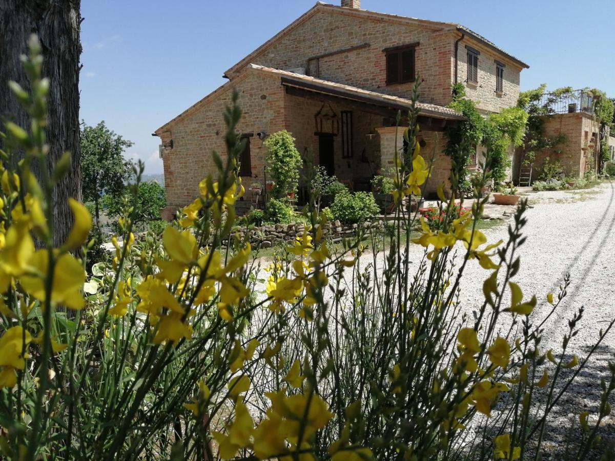 Casale San Martino Agriturismo Bio Sant'Angelo in Pontano 외부 사진