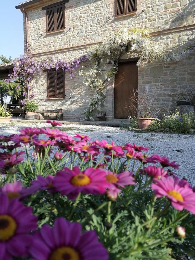 Casale San Martino Agriturismo Bio Sant'Angelo in Pontano 외부 사진