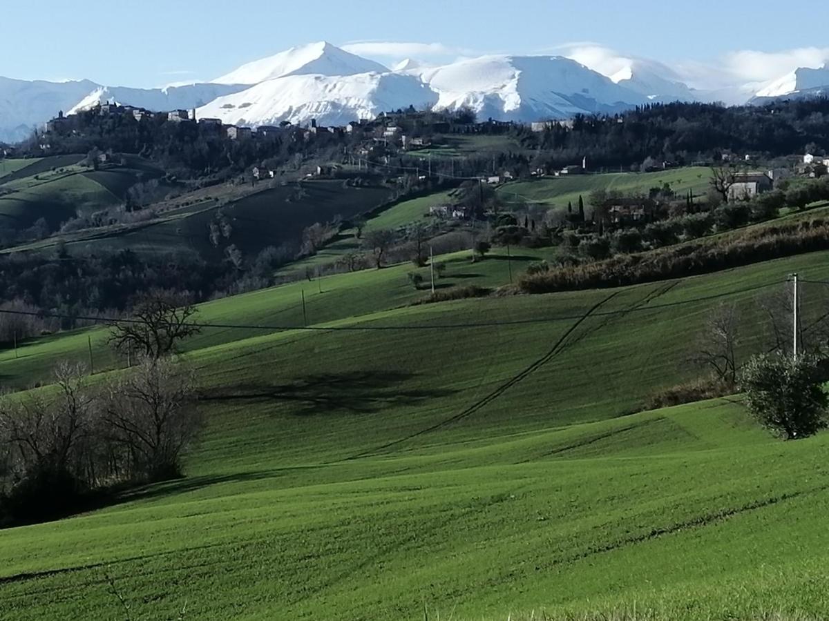 Casale San Martino Agriturismo Bio Sant'Angelo in Pontano 외부 사진