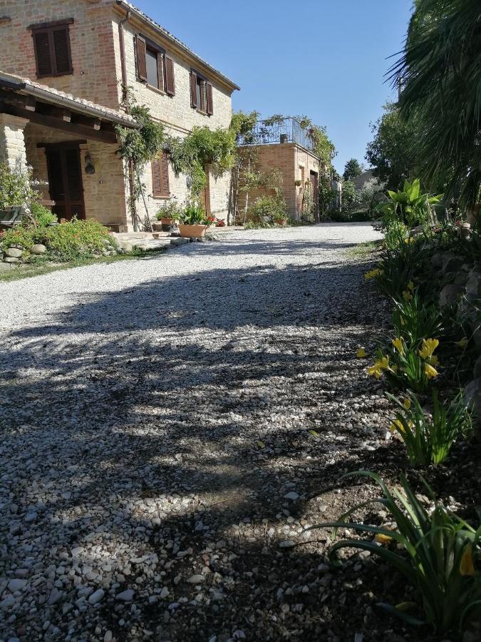 Casale San Martino Agriturismo Bio Sant'Angelo in Pontano 외부 사진