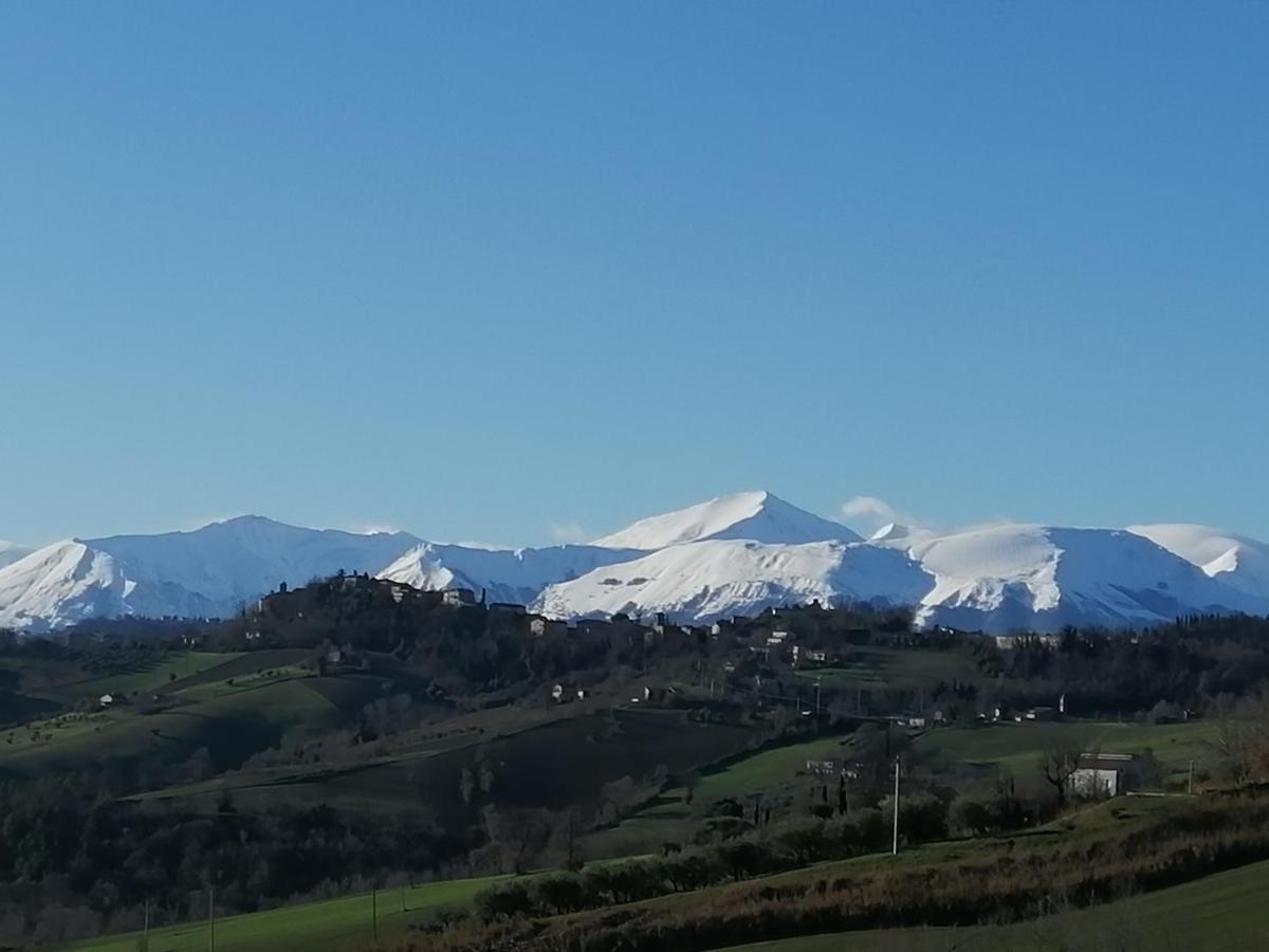 Casale San Martino Agriturismo Bio Sant'Angelo in Pontano 외부 사진