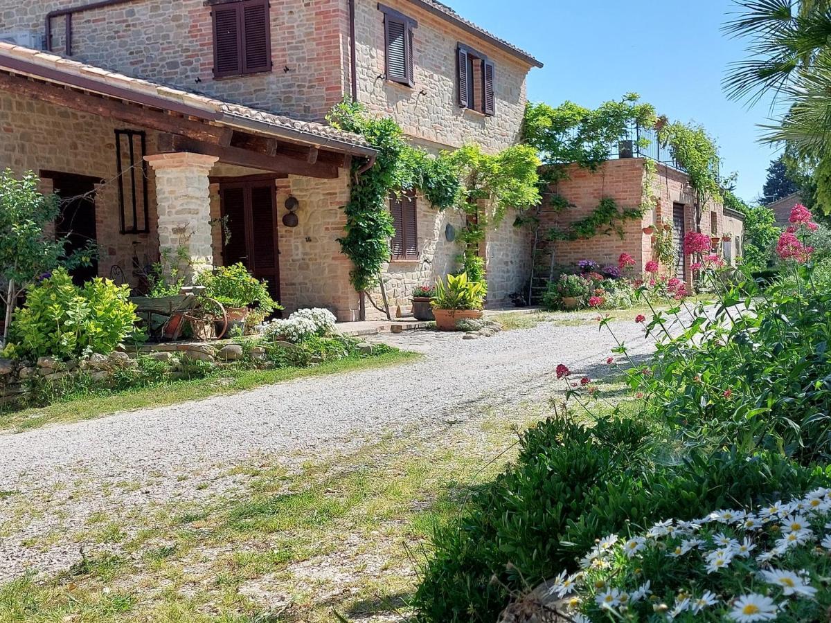 Casale San Martino Agriturismo Bio Sant'Angelo in Pontano 외부 사진