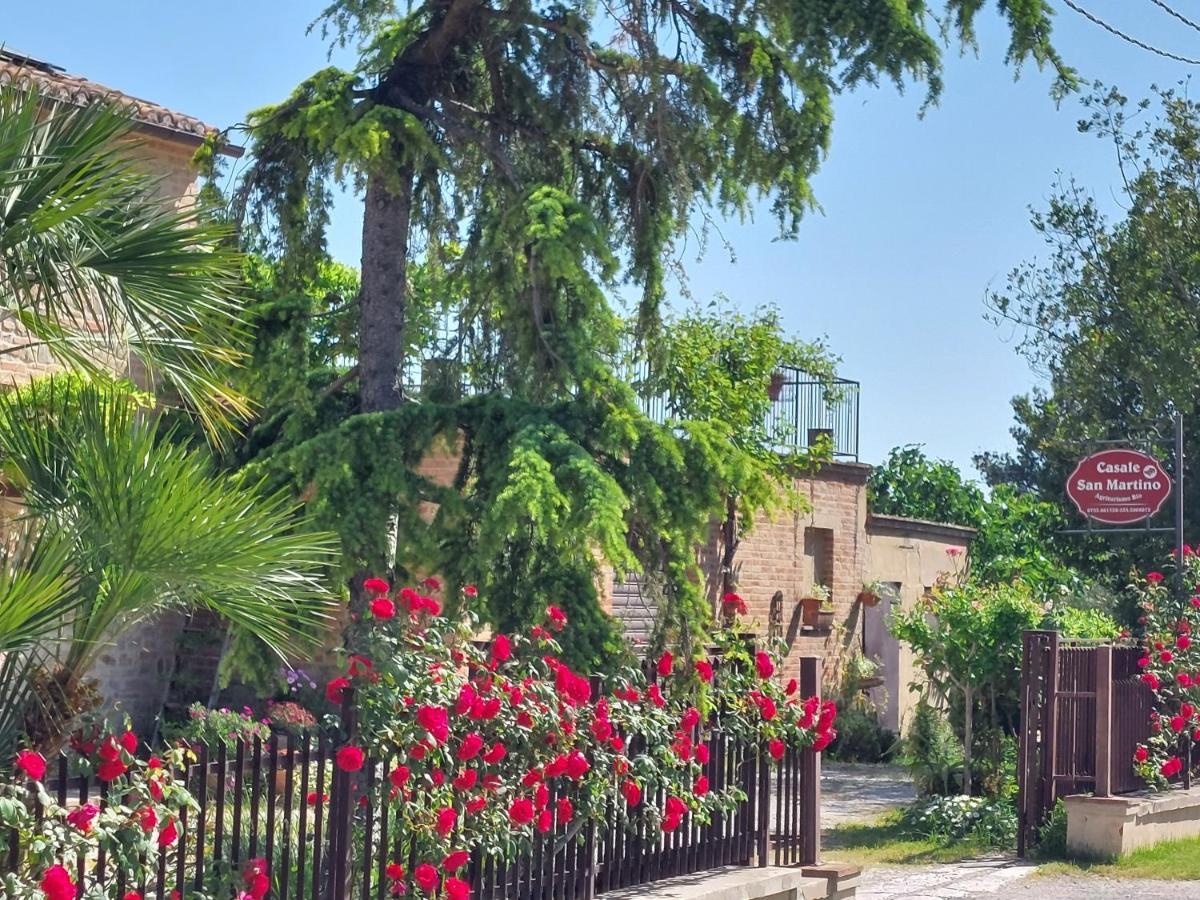 Casale San Martino Agriturismo Bio Sant'Angelo in Pontano 외부 사진