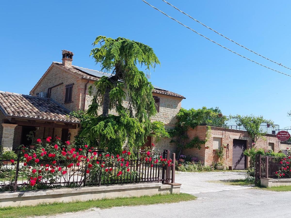 Casale San Martino Agriturismo Bio Sant'Angelo in Pontano 외부 사진