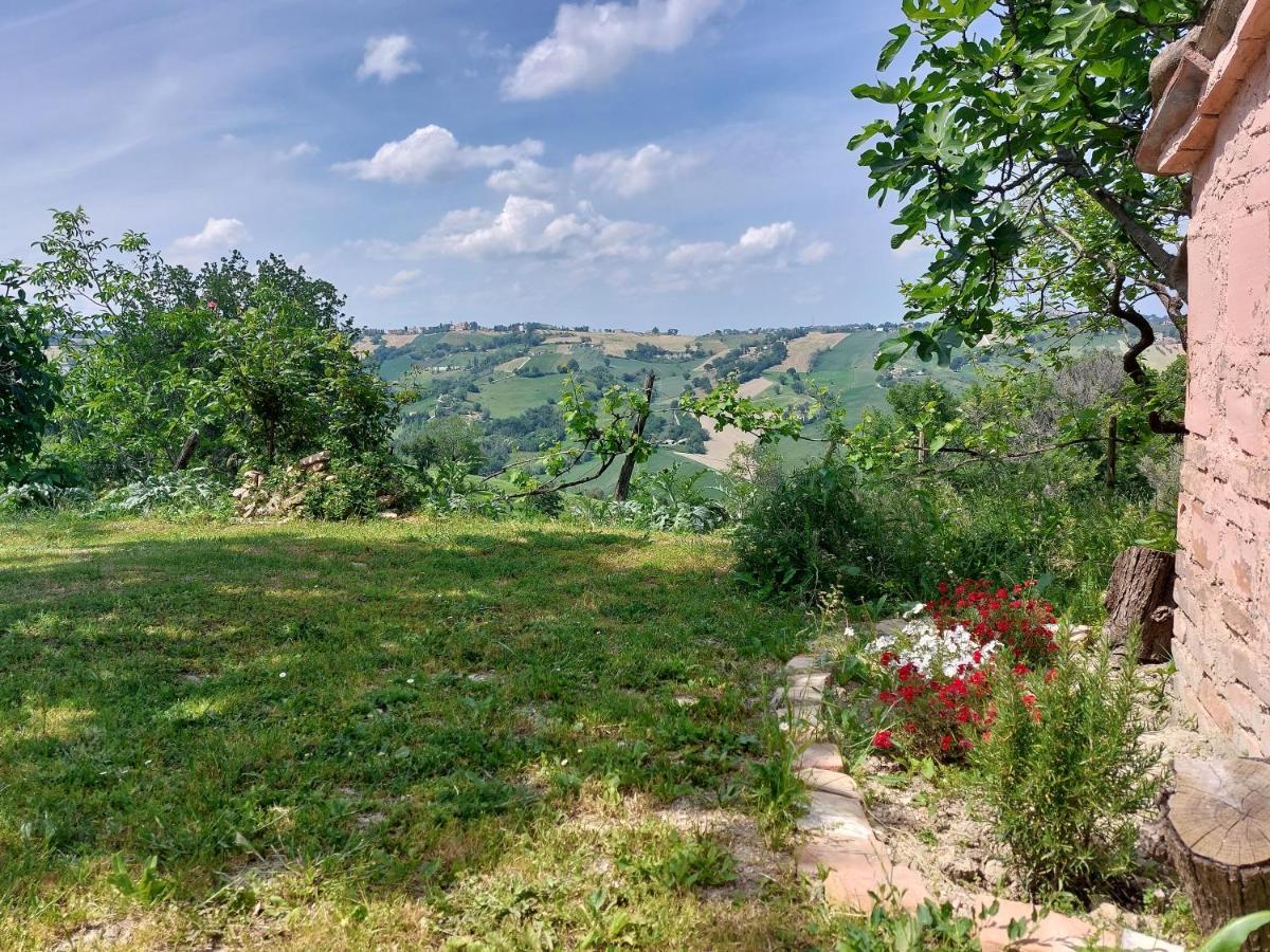 Casale San Martino Agriturismo Bio Sant'Angelo in Pontano 외부 사진