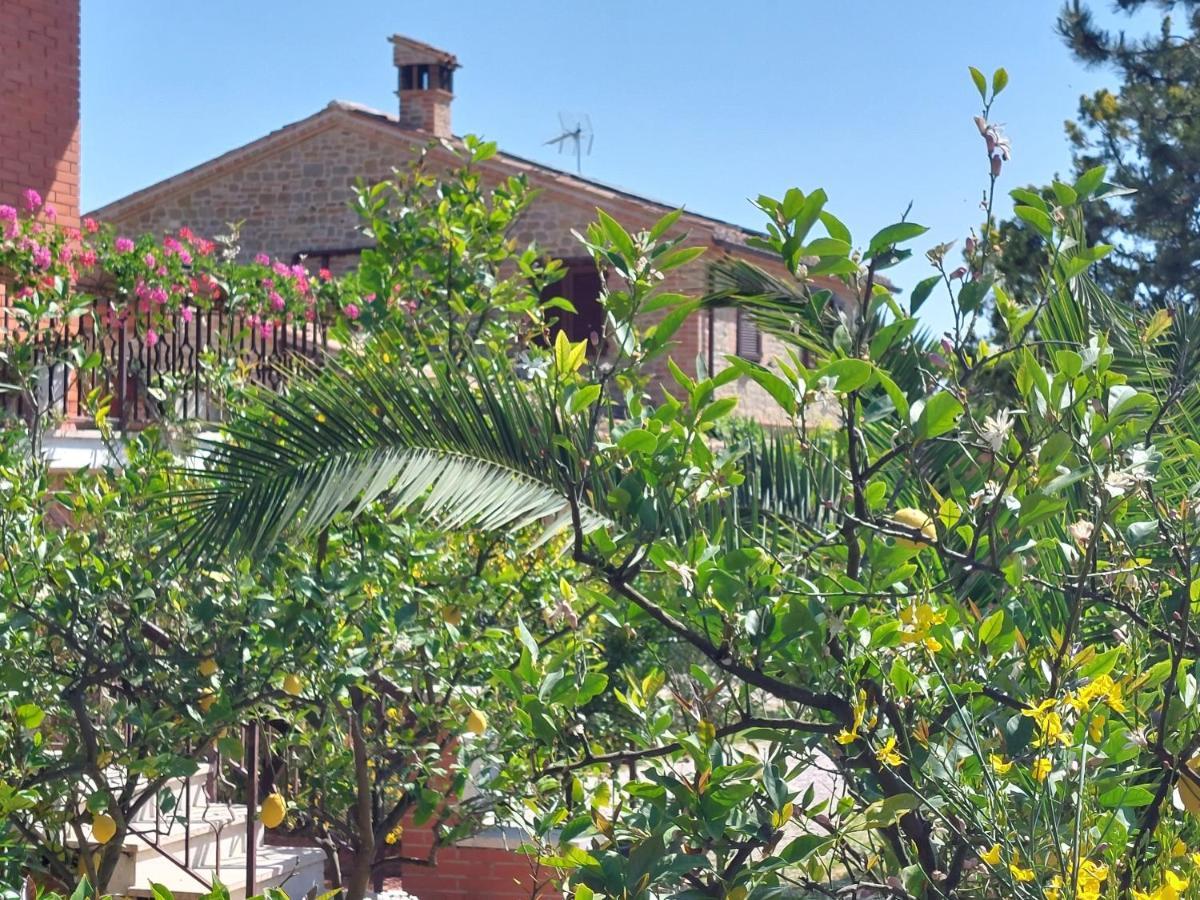 Casale San Martino Agriturismo Bio Sant'Angelo in Pontano 외부 사진