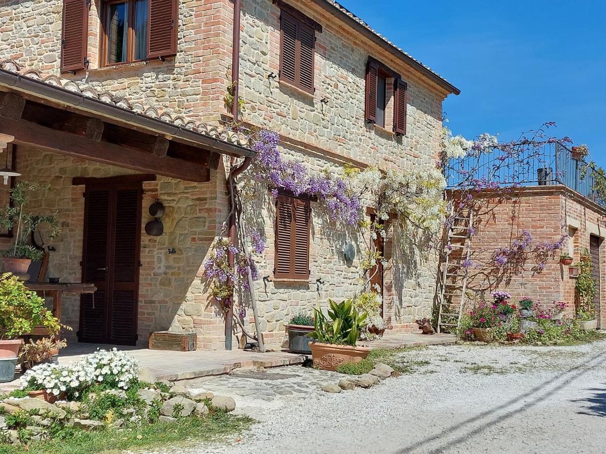 Casale San Martino Agriturismo Bio Sant'Angelo in Pontano 외부 사진