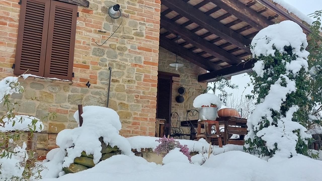 Casale San Martino Agriturismo Bio Sant'Angelo in Pontano 외부 사진