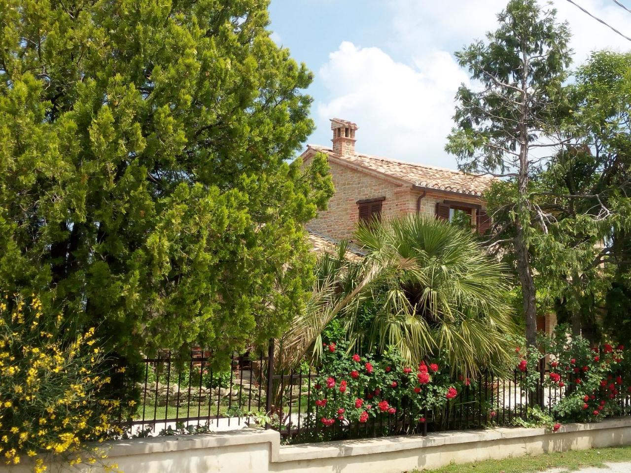 Casale San Martino Agriturismo Bio Sant'Angelo in Pontano 외부 사진